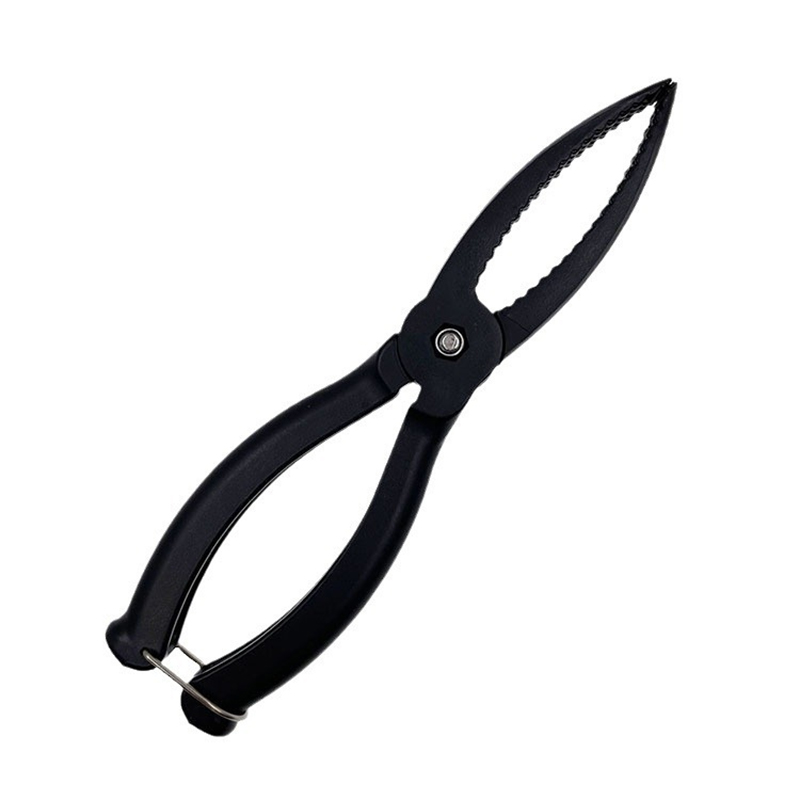 新しい屋外魚類制御装置プラスチッククランプ釣りリップグリップ - Fishing Lure Kit のレビューと価格