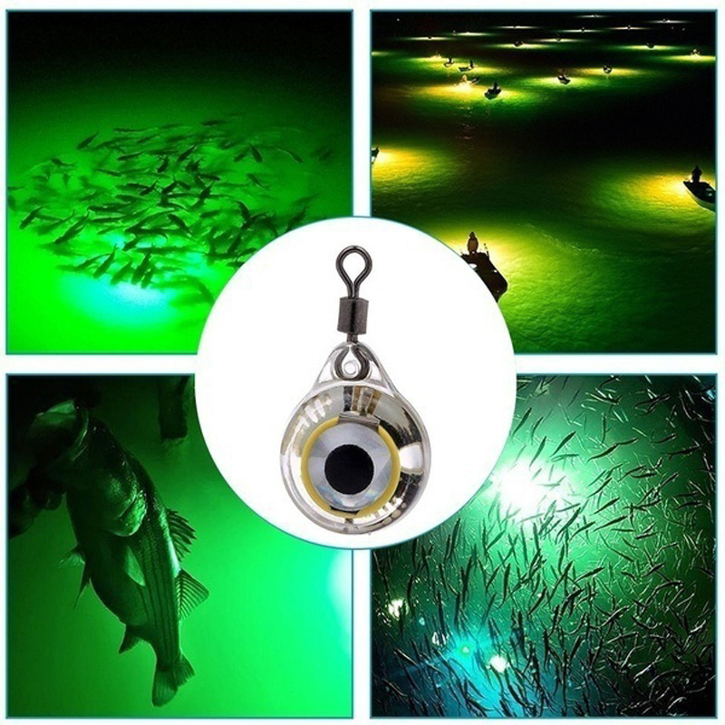 Flysandフィッシングライト夜の蛍光光では、魚の釣りアク - Fishing Lure Accessories のレビューと価格